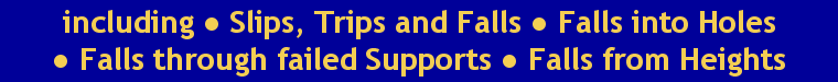 Premises Accidents, including Slips, Trips and Falls, and Falls from Heights